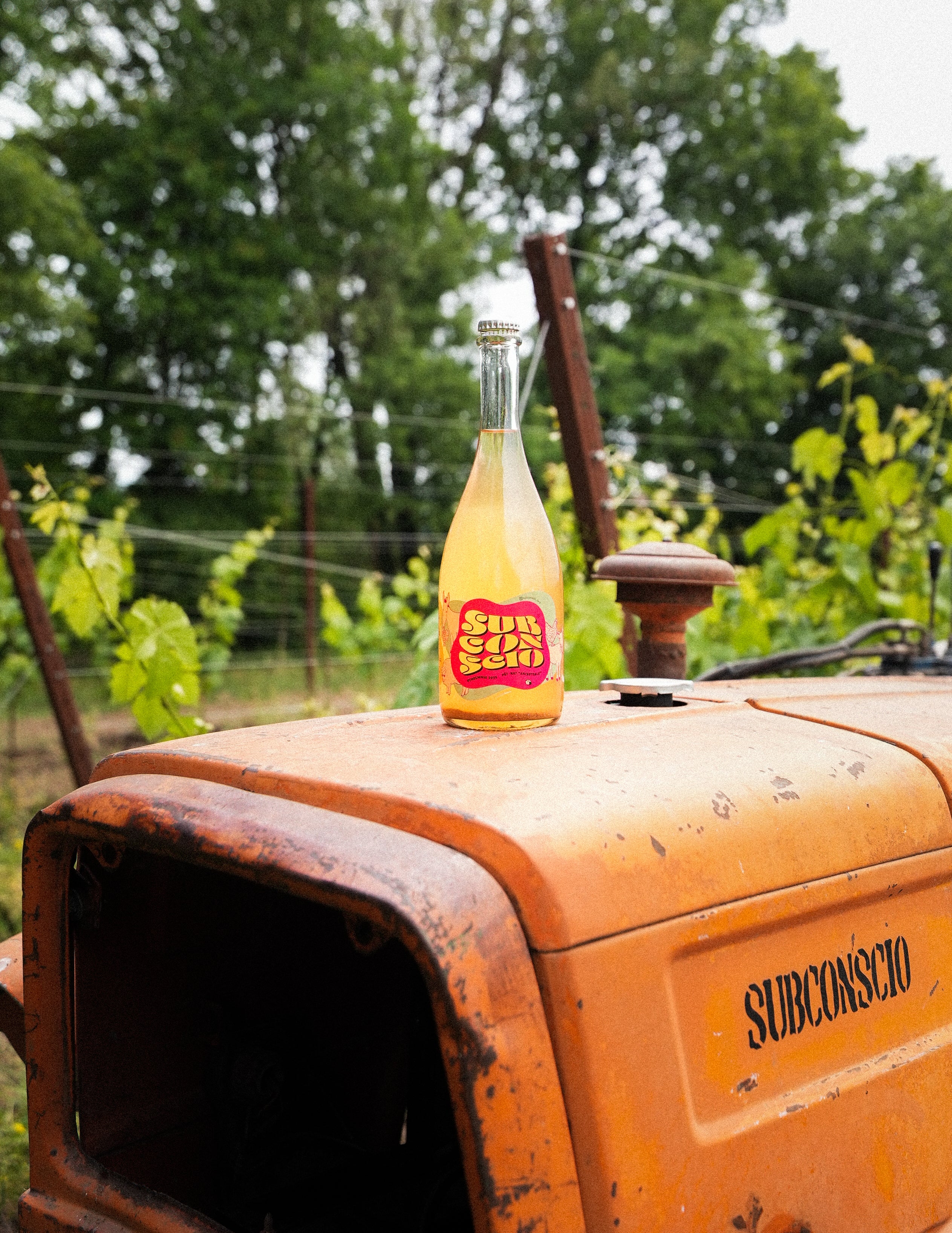 Ancestrale Pét-Nat 2025 | Vino Naturale Frizzante