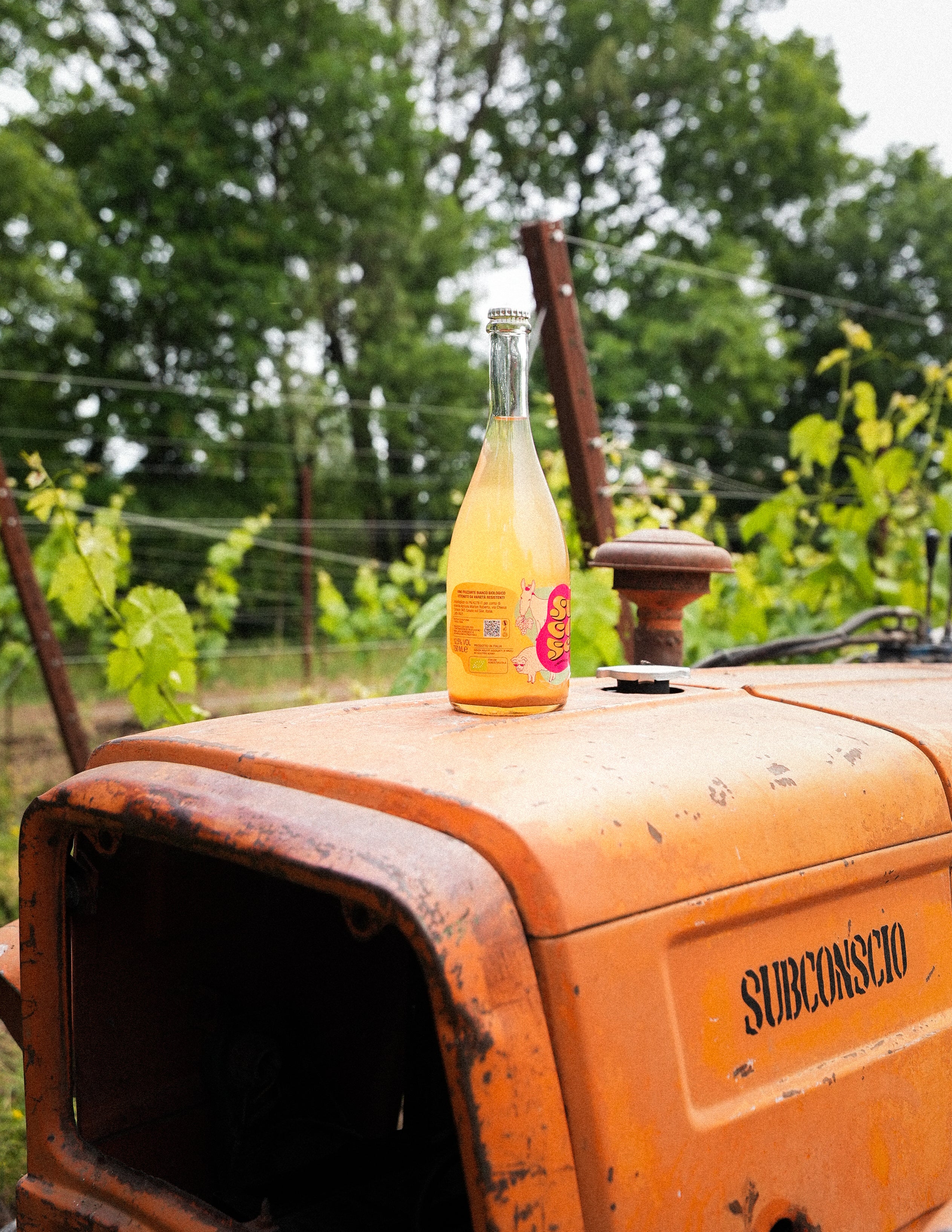 Ancestrale Pét-Nat 2025 — Vino Naturale Frizzante