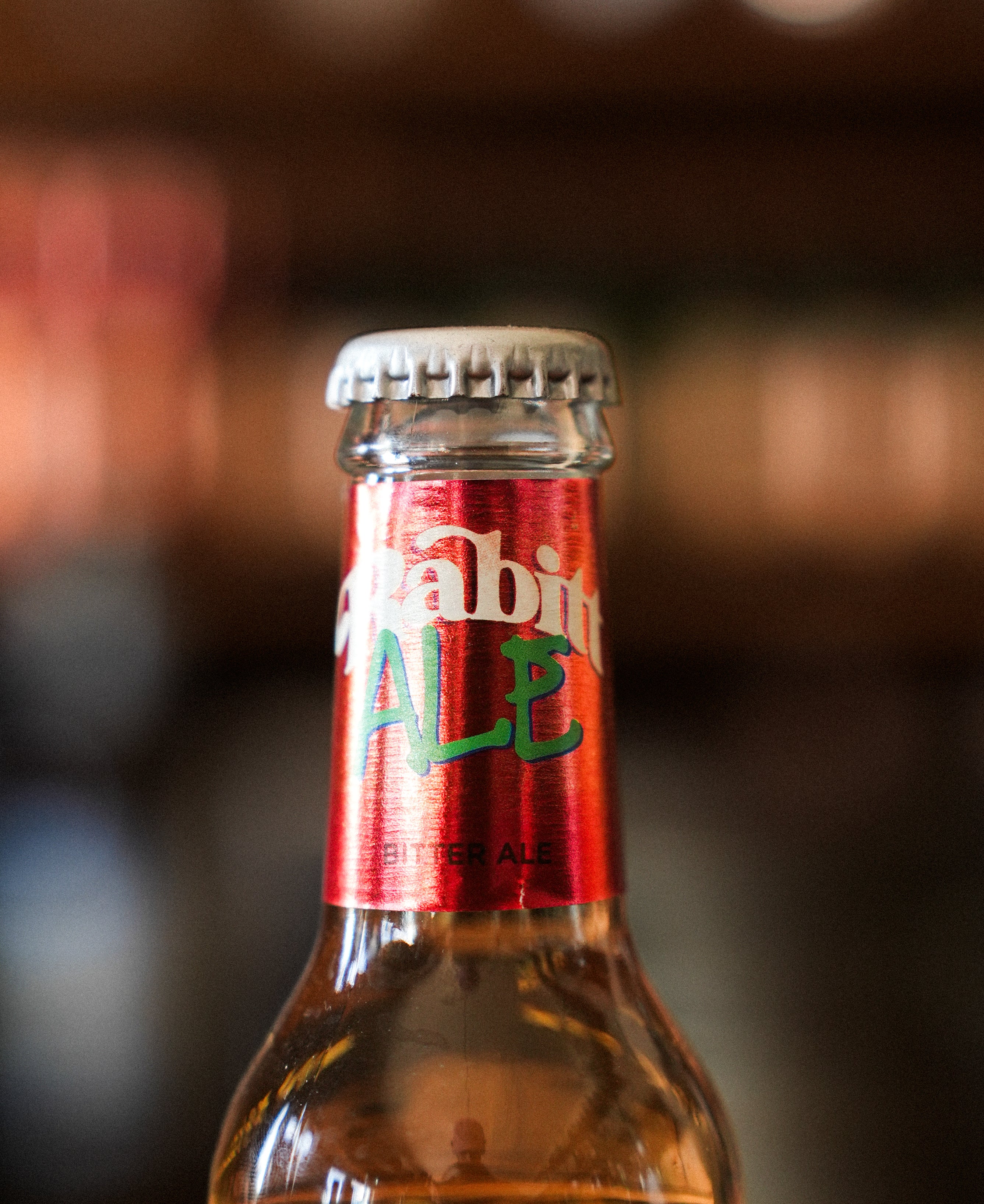 Rabitt Ale - Premium Ginger Ale Artigianale 20cl (12 pz)