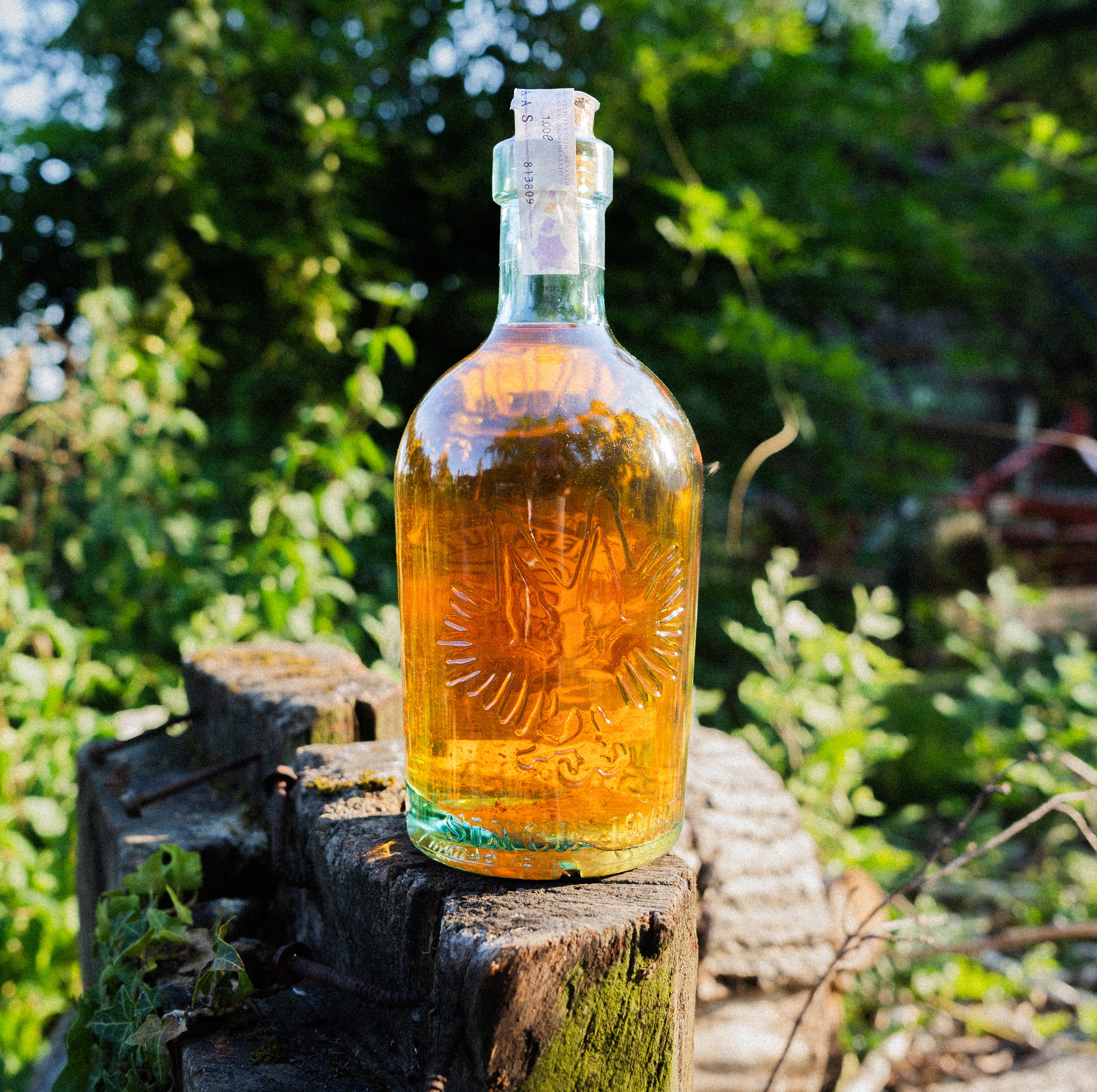 Vermouth Esotico — Infusione Artigianale