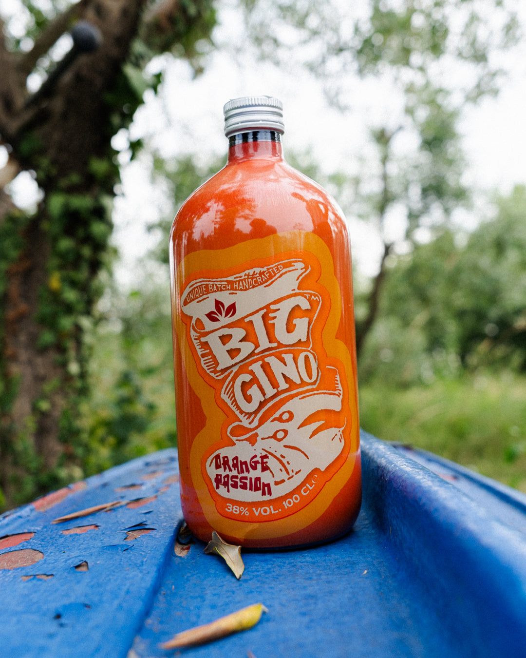 Gin Big Gino Orange Passion – Con Arance di Sicilia (1L)