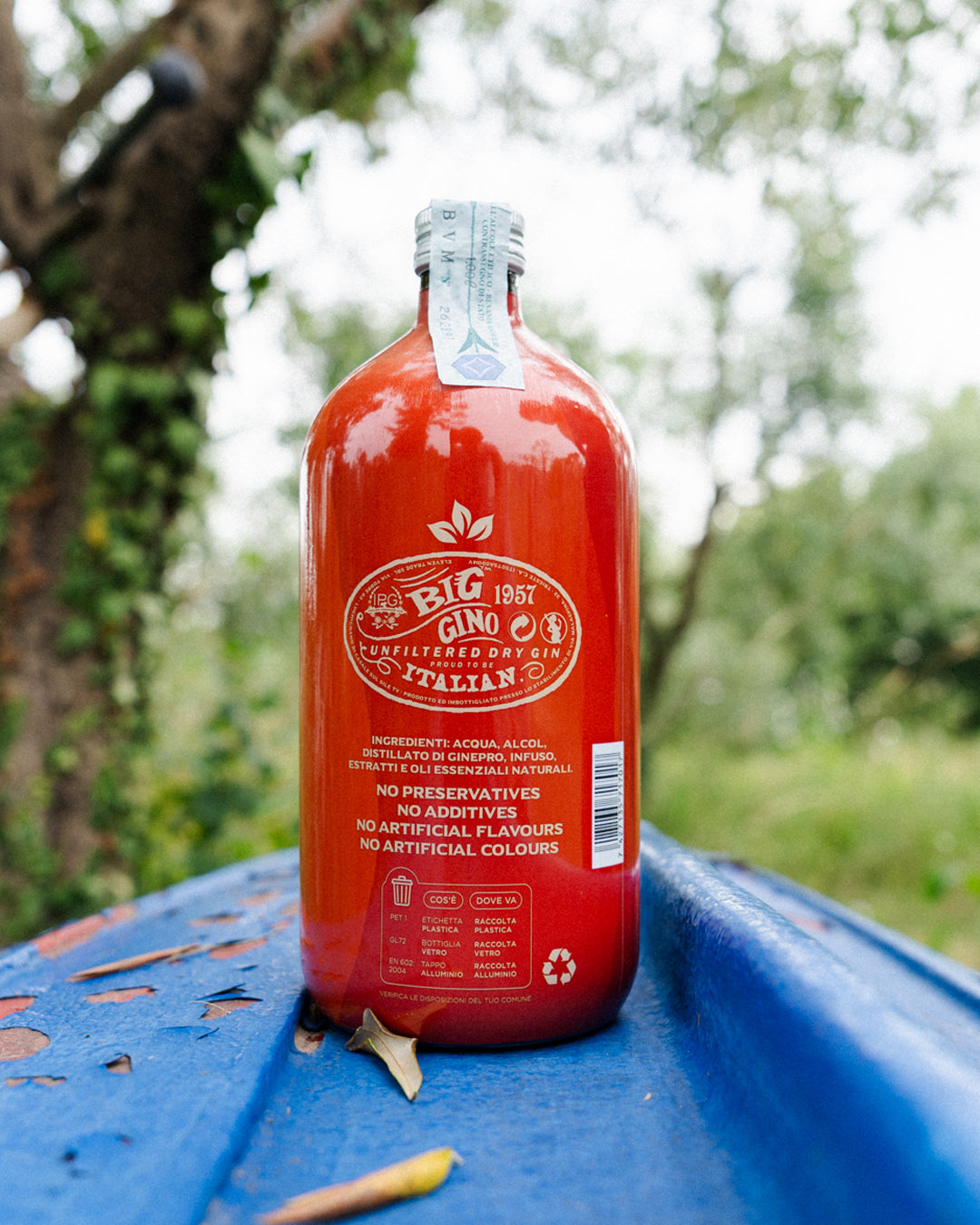 Gin Big Gino Orange Passion – Con Arance di Sicilia (1L)