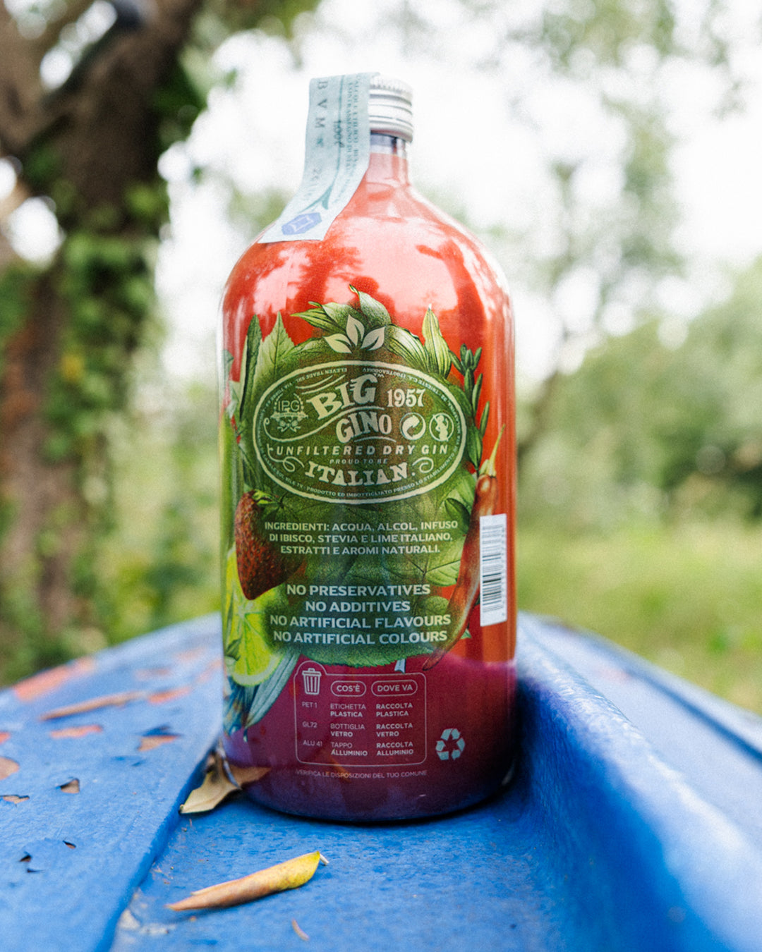 Gin Big Gino Red Hot Fruits – Con Fragola e Peperoncino (1L)