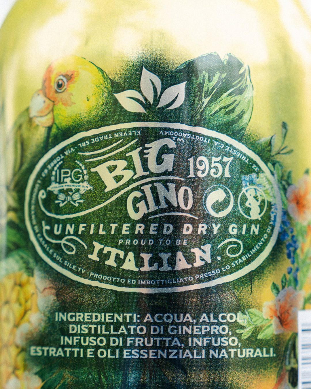 Gin Big Gino Exotic Dream – Con Frutti Tropicali (1L)