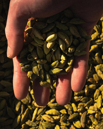 Cardamomo