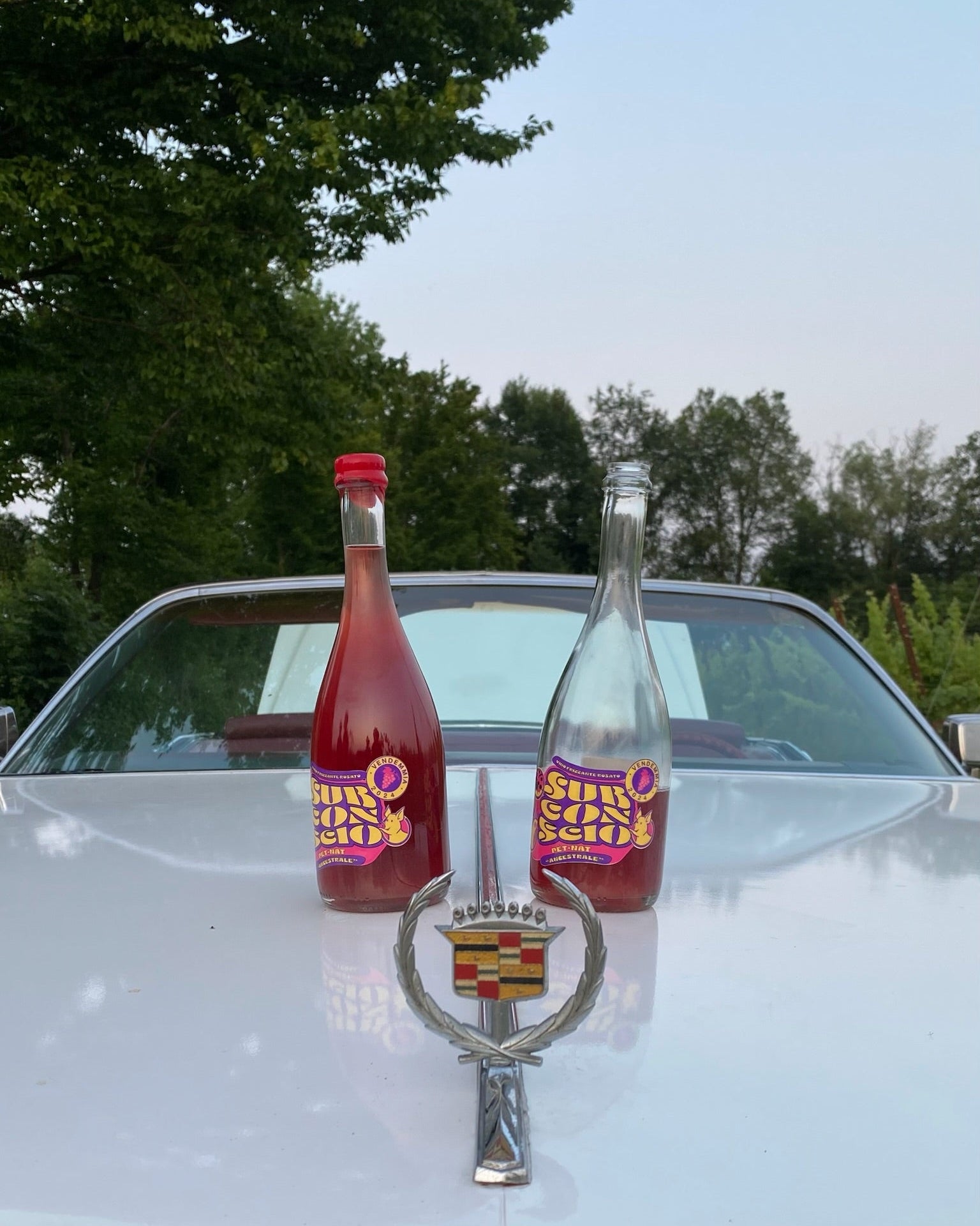 Subconscio 2024: Metodo Ancestrale Natural Wine