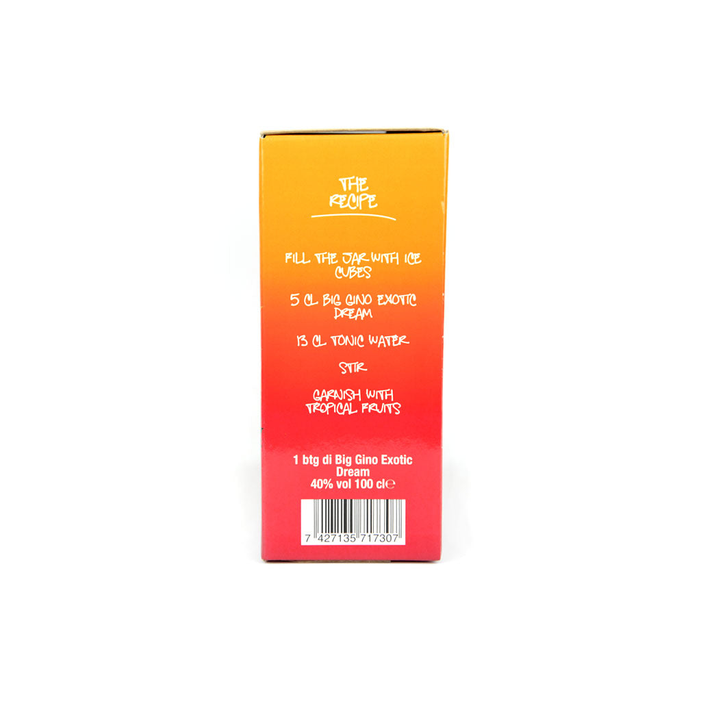 Set regalo Big Gino Exotic Dream, gin 1L e 2 jar in metallo